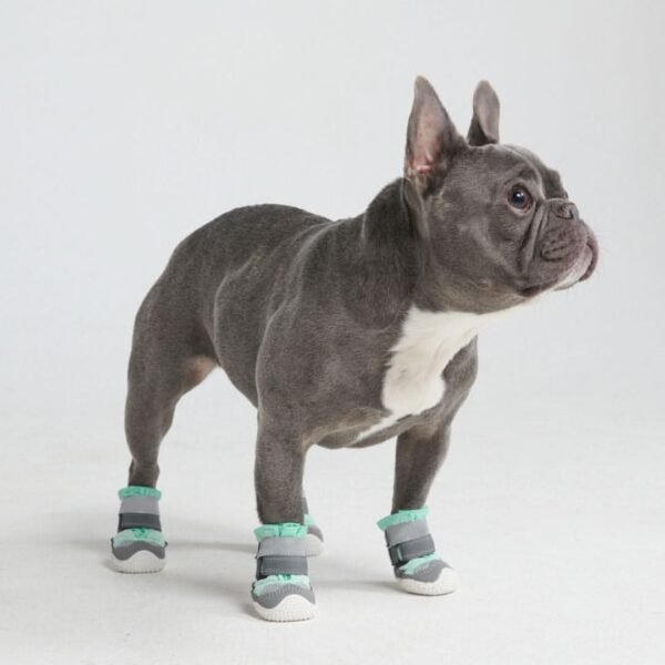 Hot Pavement Pawtector Dog Shoes - Teal - Image 3