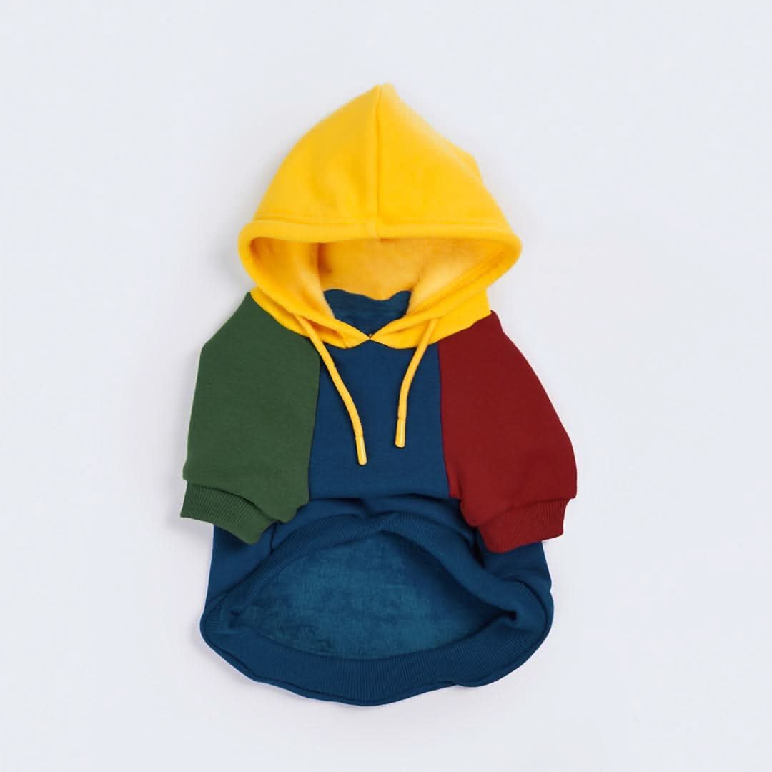 Primary Color Block Dog Hoodie - Image 2