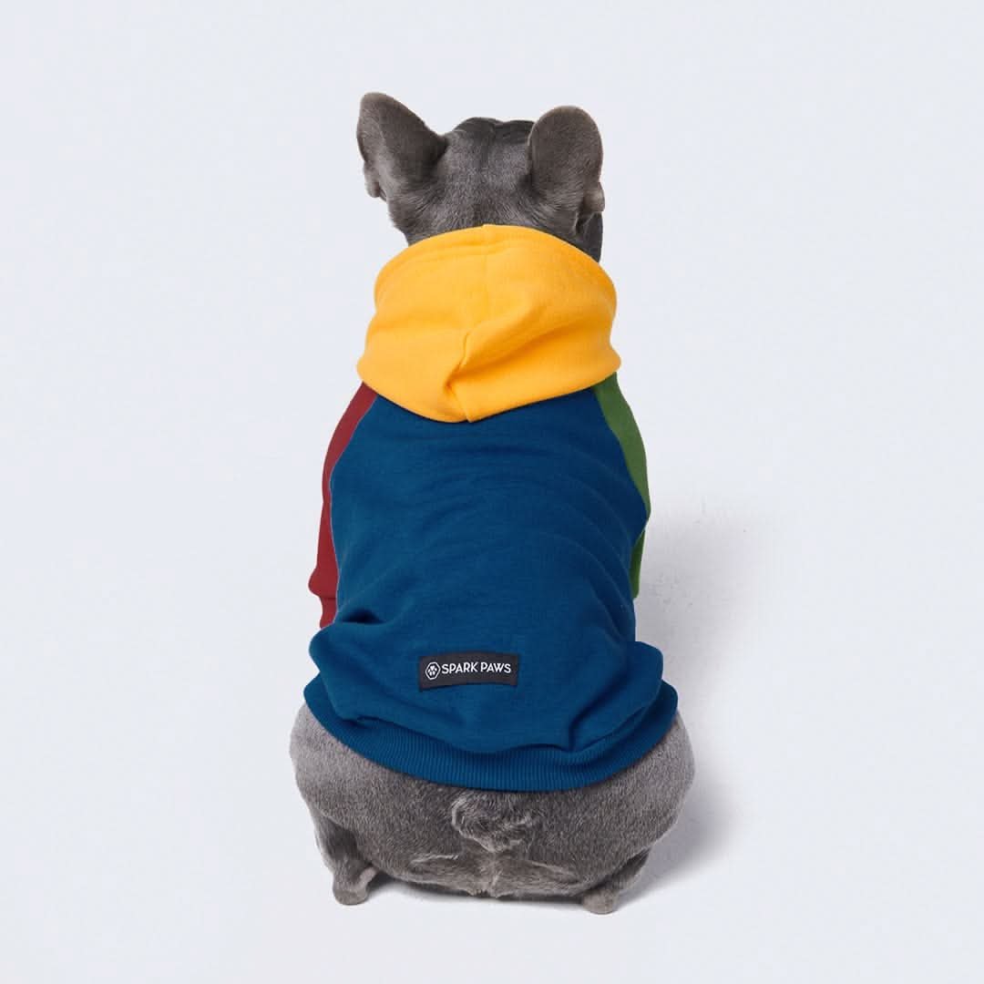 Primary Color Block Dog Hoodie - Image 5