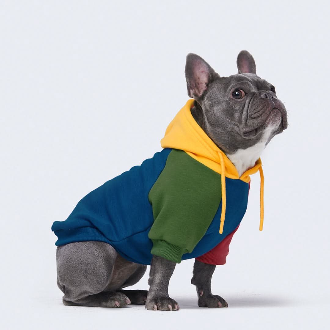 Primary Color Block Dog Hoodie - Image 3