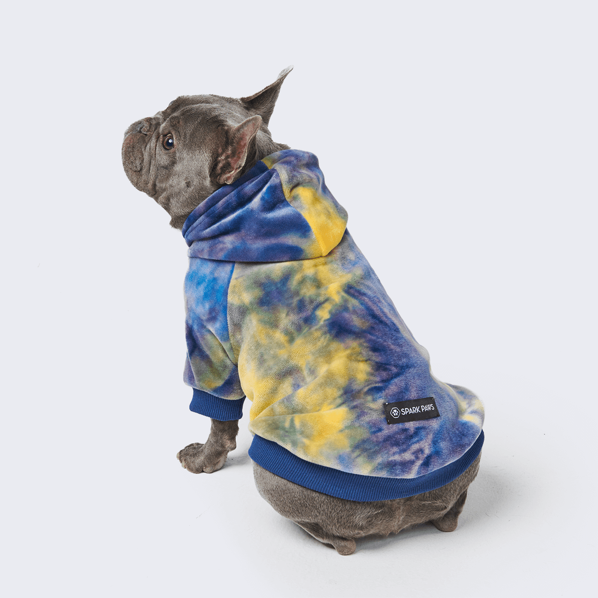 Velvet Dog Hoodie - Nova - Image 5
