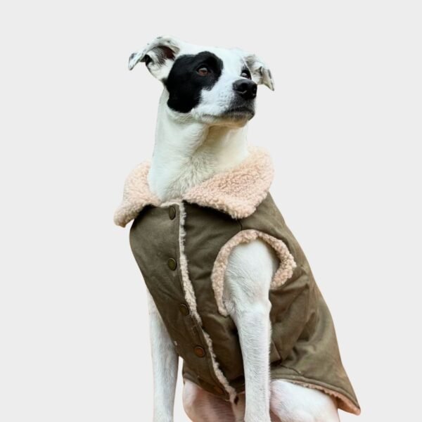 Workdog Insulated Utility Jacket - Green - Image 2