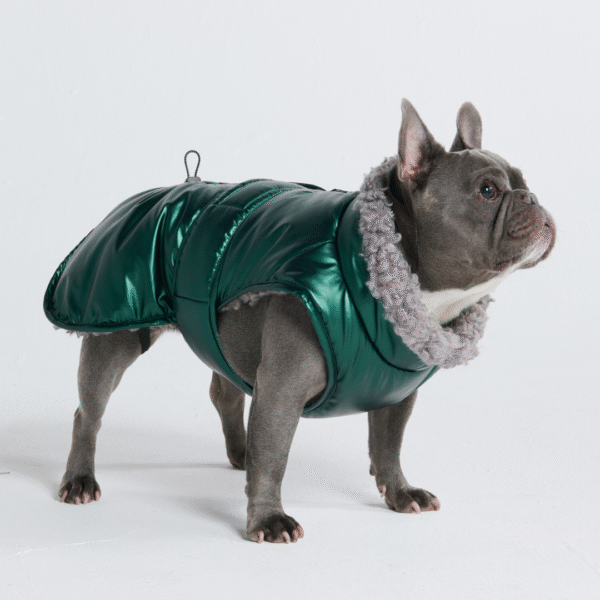 Slip-on Insulated Jacket - Metallic Green - Image 4