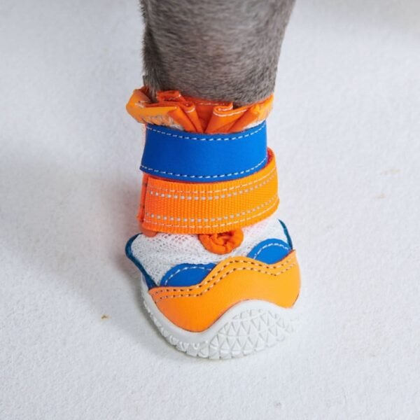 Hot Pavement Pawtector Dog Shoes - Orange Blue - Image 4