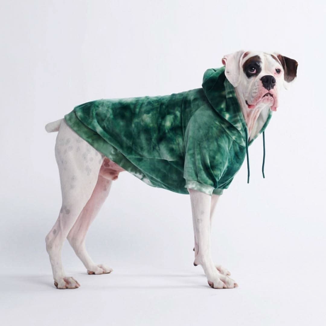 Velvet Dog Hoodie - Emerald Green - Image 2