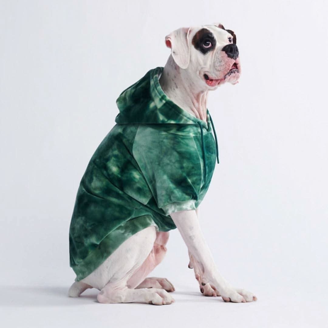 Velvet Dog Hoodie - Emerald Green - Image 5