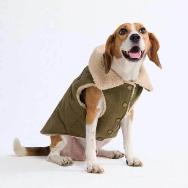 Workdog Insulated Utility Jacket - Green - Image 8