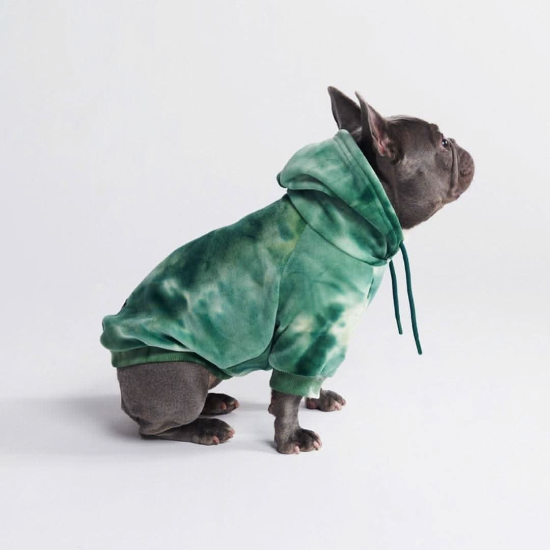 Velvet Dog Hoodie - Emerald Green - Image 6