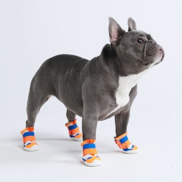 Hot Pavement Pawtector Dog Shoes - Orange Blue - Image 3