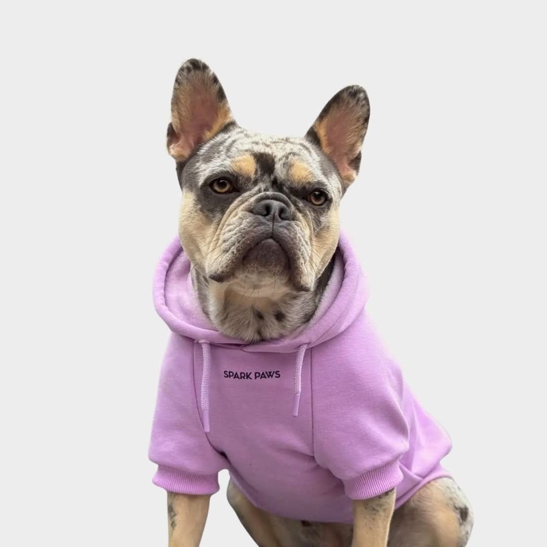 Essential Dog Hoodie - Orchid Purple - Image 6