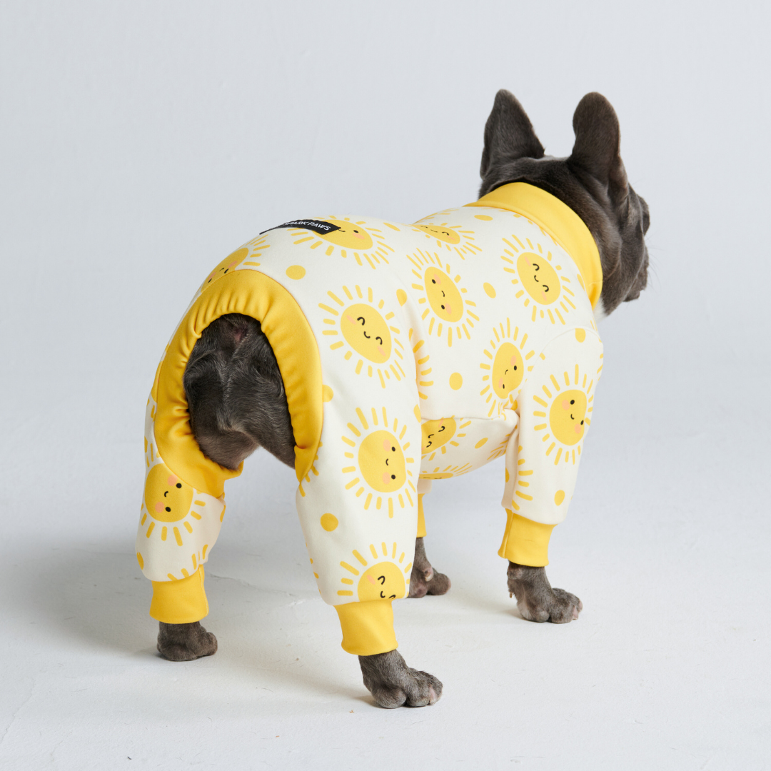 Dog Pajama - Sunshine - Image 3