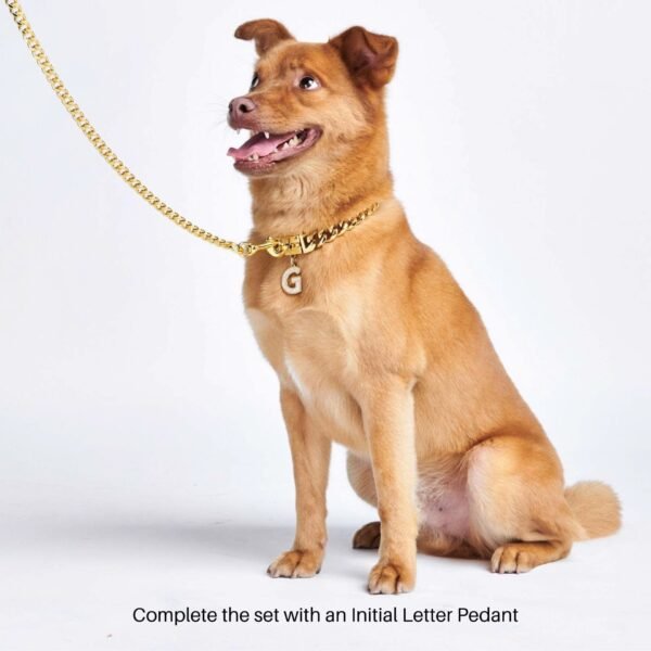 Cuban Link Chain Dog Collar - Gold - Image 6