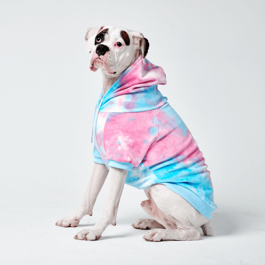 Velvet Dog Hoodie - Snow Cone - Image 7