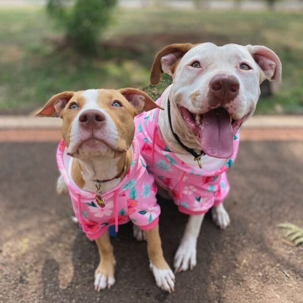 Blossom Dog Hoodie - Pink - Image 2