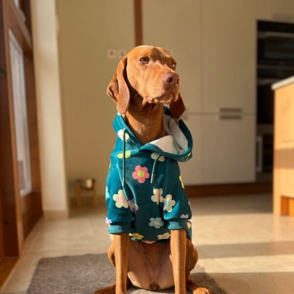 Daisy Dog Hoodie - Green - Image 2