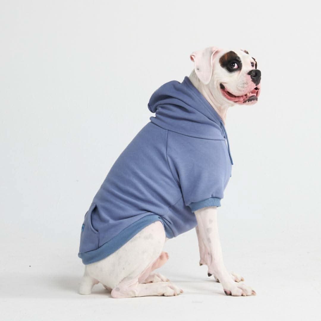 Essential Dog Hoodie - Slate Blue - Image 2