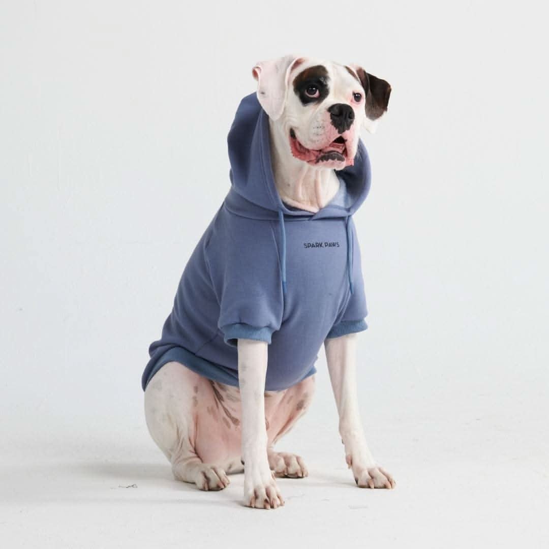 Essential Dog Hoodie - Slate Blue - Image 4
