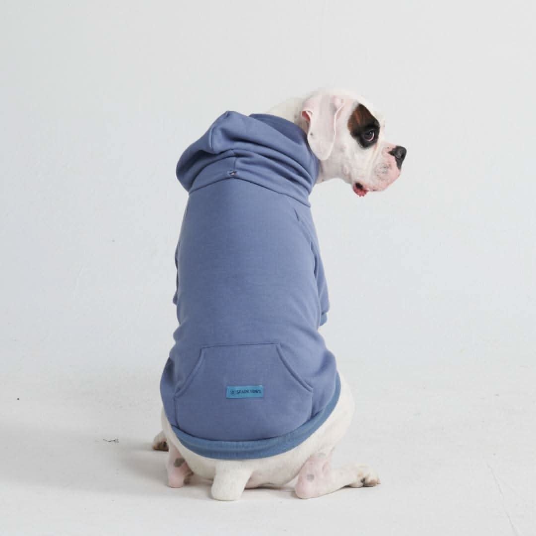 Essential Dog Hoodie - Slate Blue - Image 5