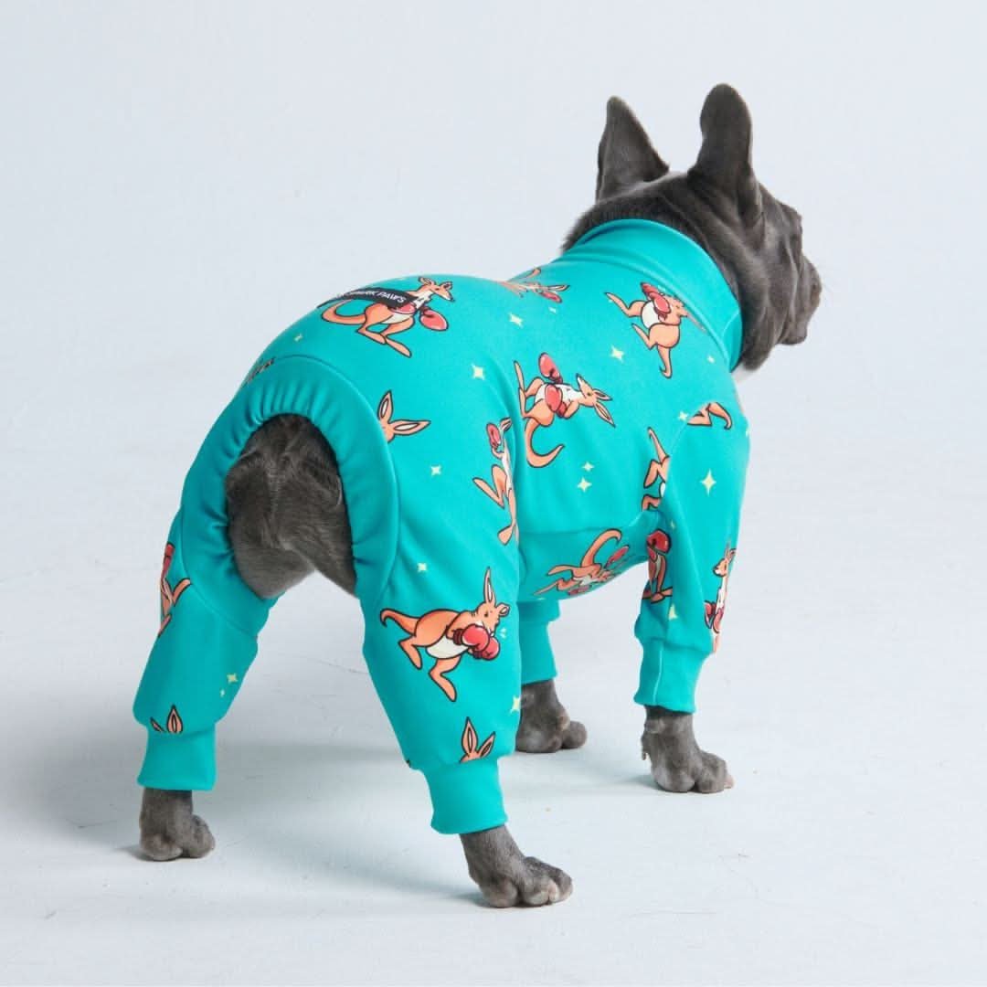 Dog Pajama - Boxing Kangaroo - Blue - Image 4