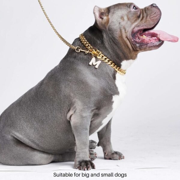 Cuban Link Chain Dog Collar - Gold - Image 4