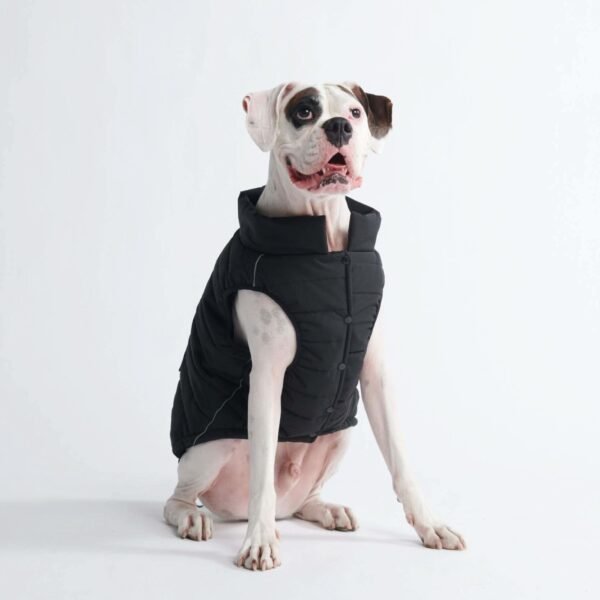 WarmShield Water-Resistant Jacket - Black - Image 8