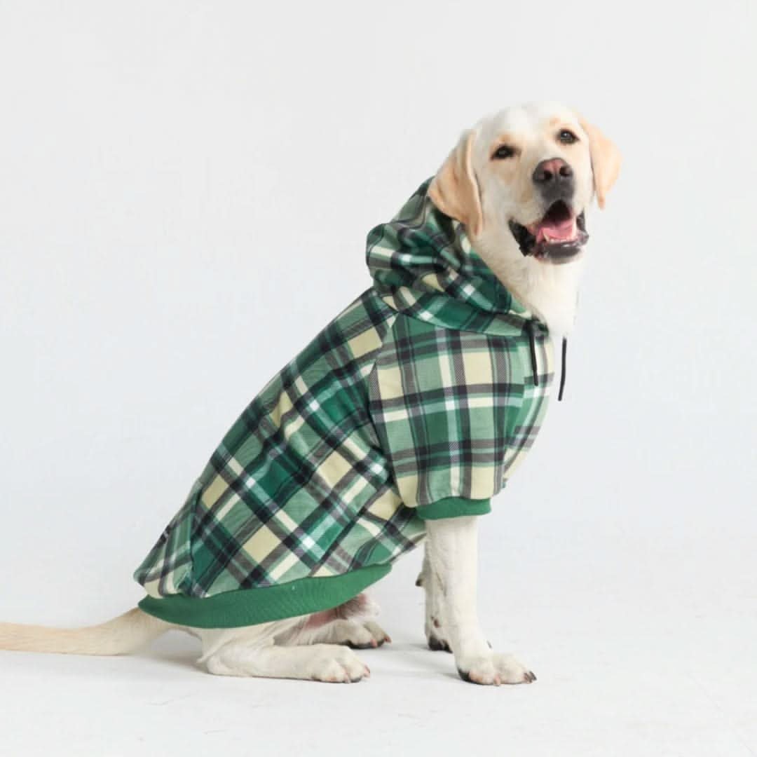 Green Plaid Dog Hoodie - Image 2