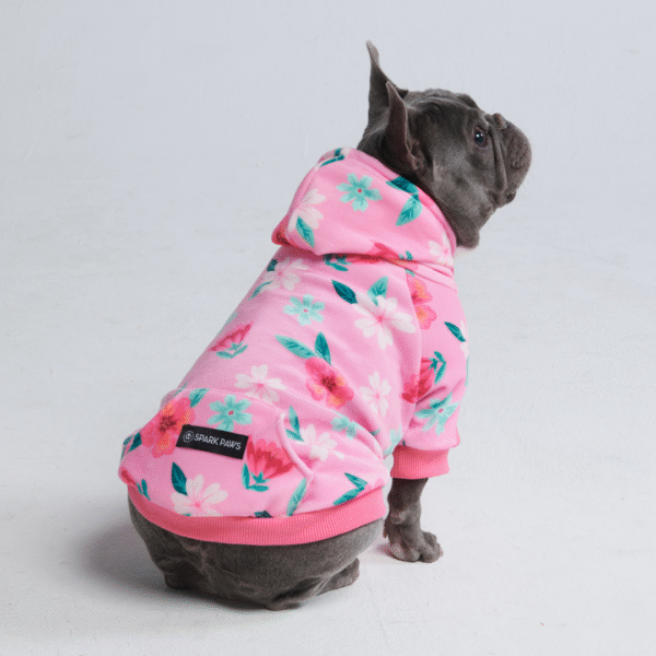 Blossom Dog Hoodie - Pink - Image 7