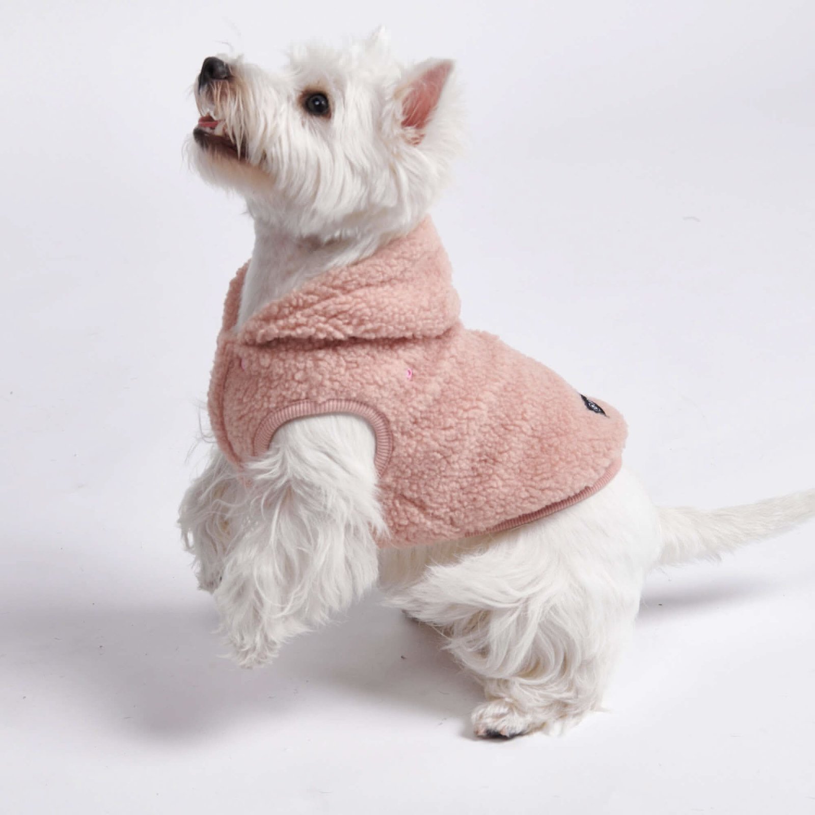 Teddy Sherpa Dog Jacket - Pink - Image 7