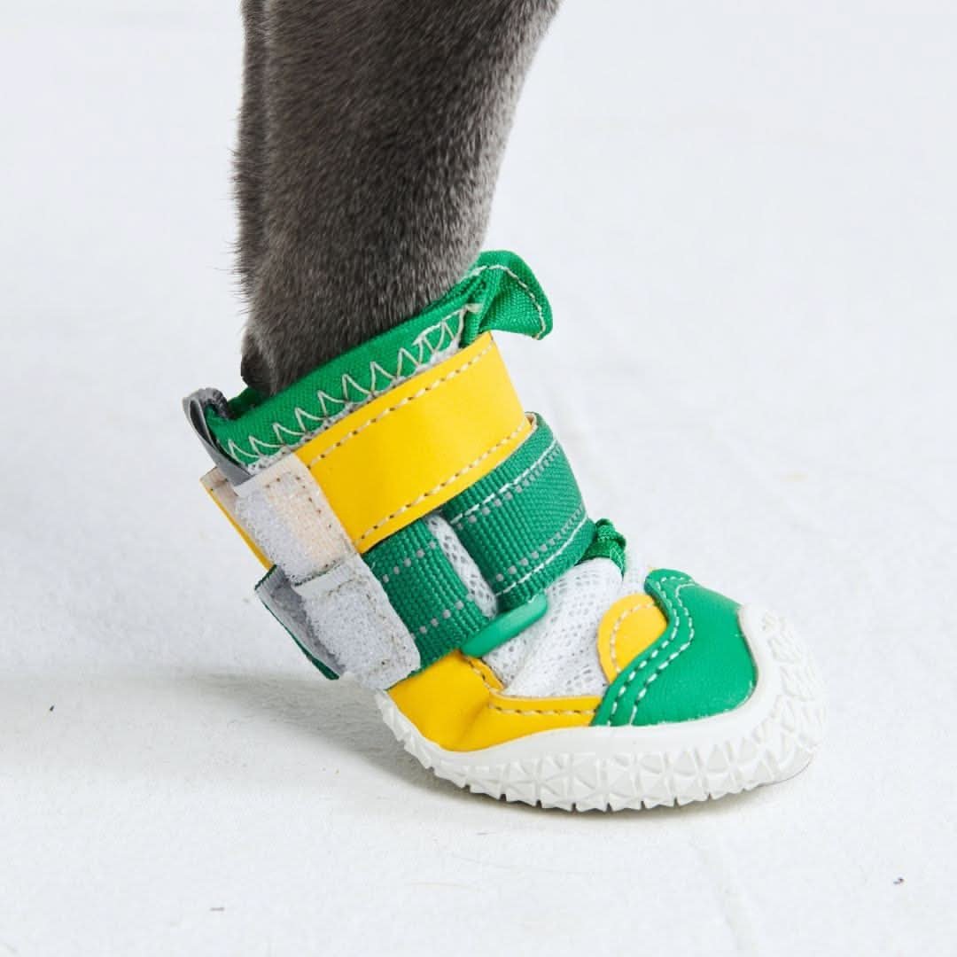 Hot Pavement Pawtector Dog Shoes - Green Yellow - Image 6