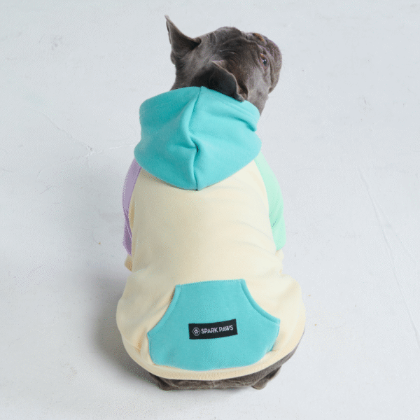 Coastal Dog Hoodie - Image 5