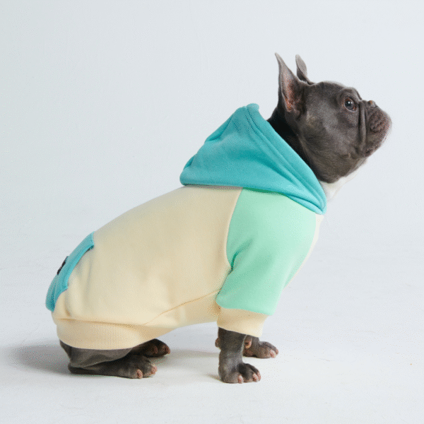 Coastal Dog Hoodie - Image 6