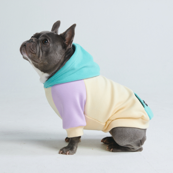 Coastal Dog Hoodie - Image 7