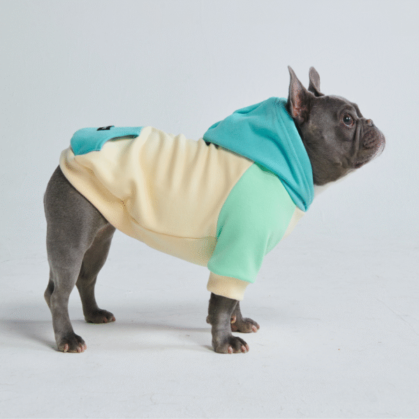 Coastal Dog Hoodie - Image 4