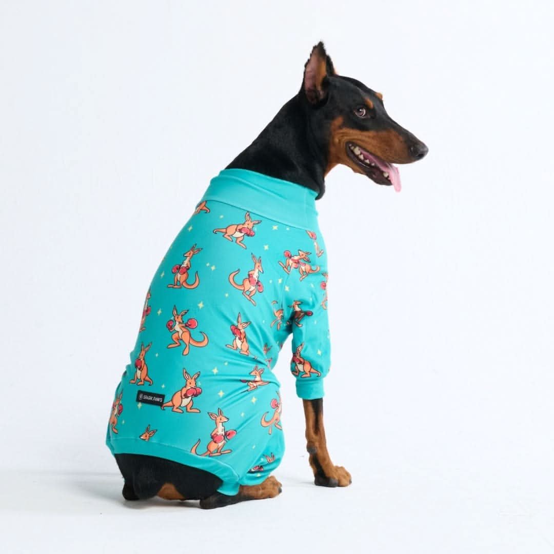 Dog Pajama - Boxing Kangaroo - Blue - Image 2