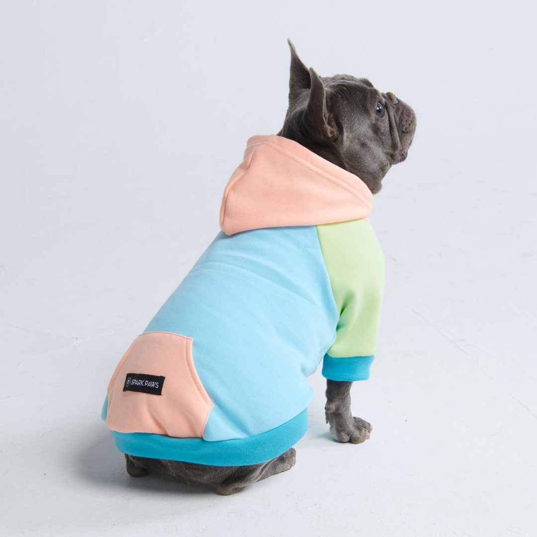 Jelly Bean Dog Hoodie - Image 5