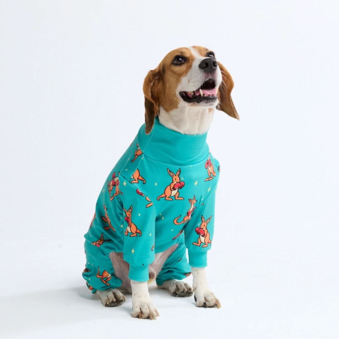 Dog Pajama - Boxing Kangaroo - Blue - Image 3