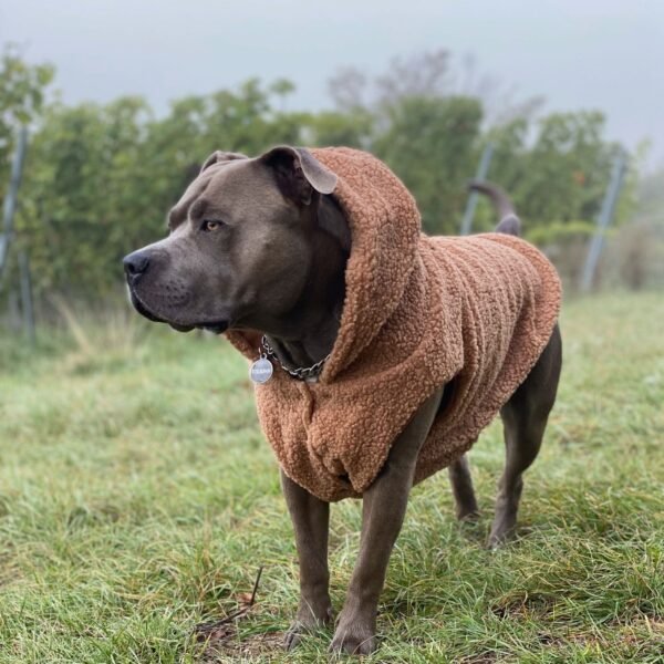 Teddy Sherpa Fleece Dog Jacket - Brown - Image 3