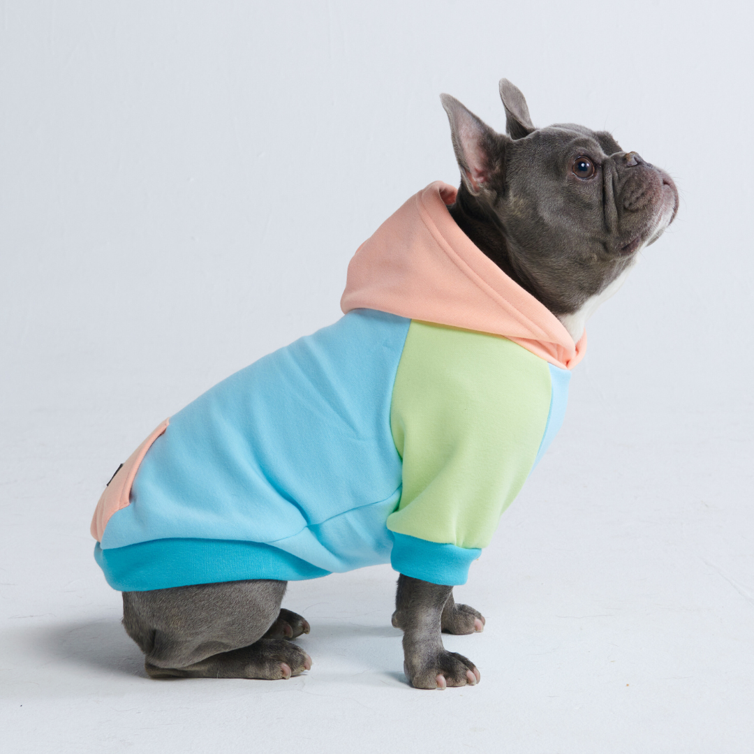 Jelly Bean Dog Hoodie - Image 7