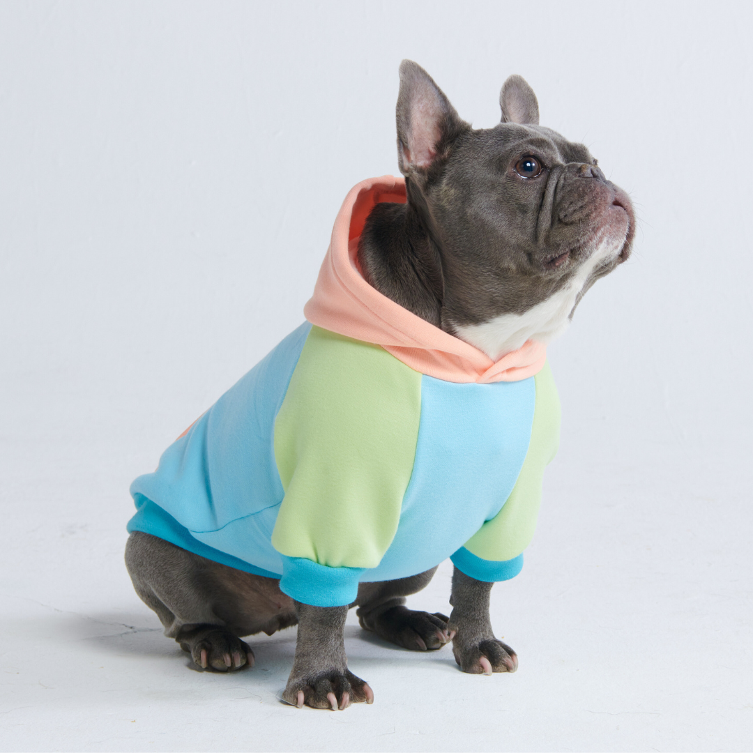Jelly Bean Dog Hoodie - Image 6