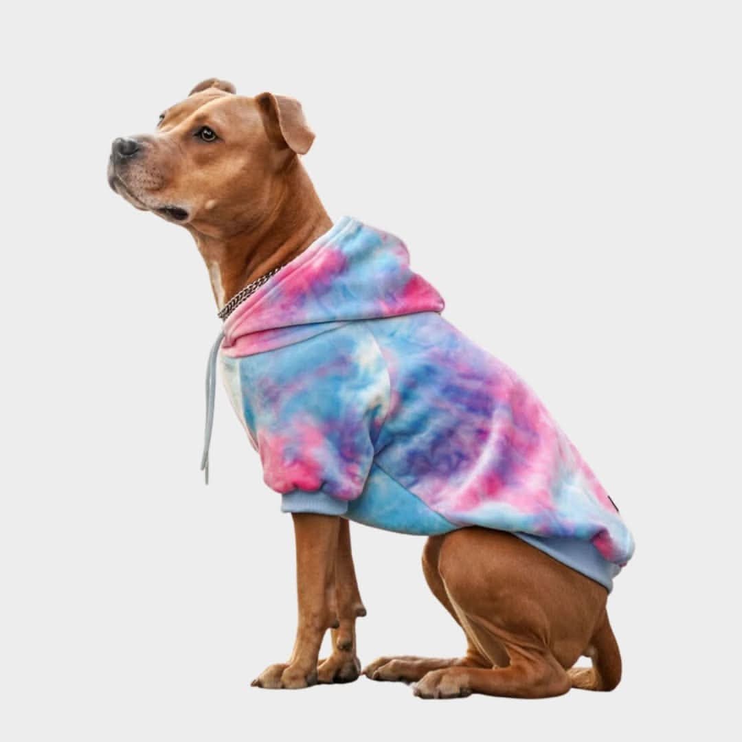 Velvet Dog Hoodie - Snow Cone - Image 6