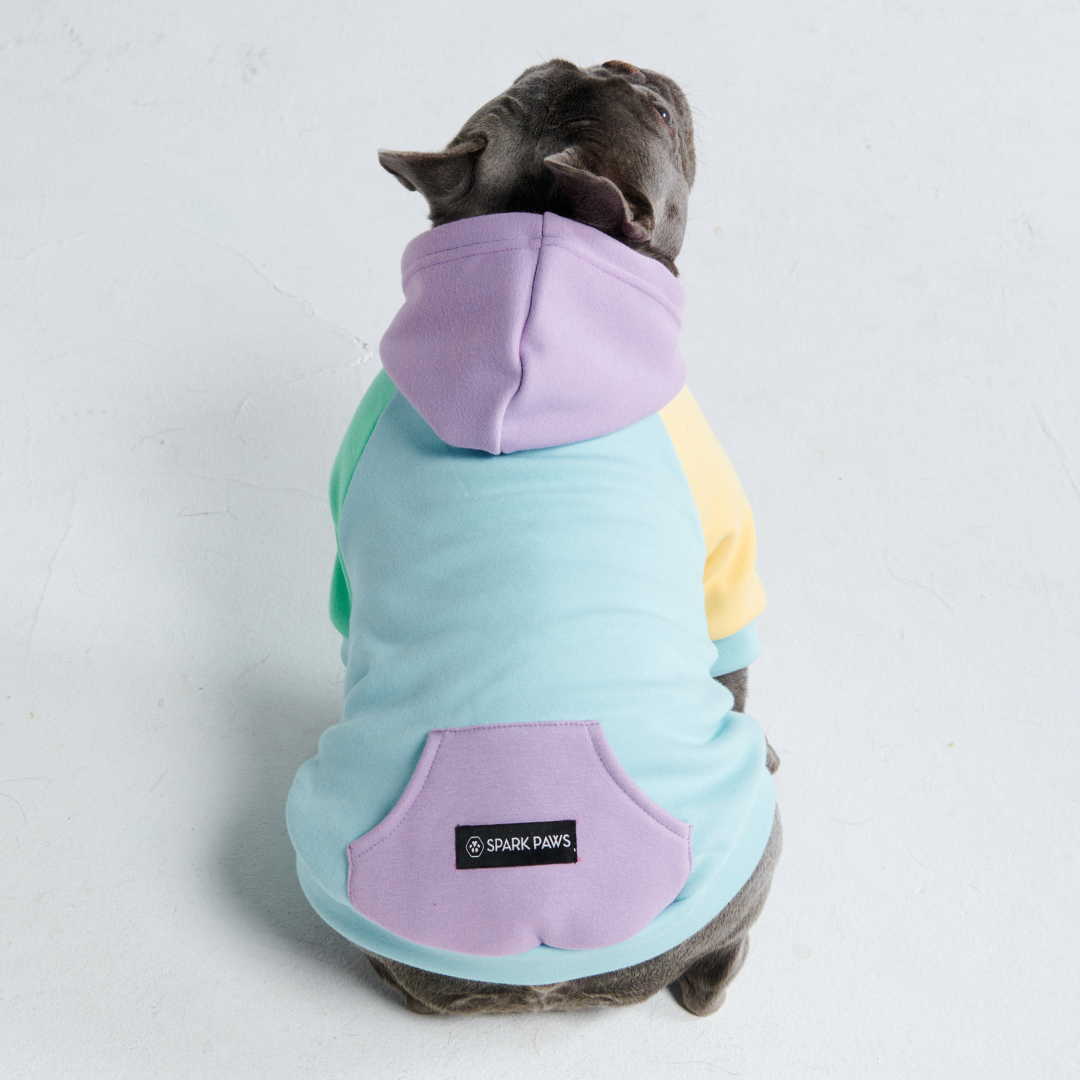 Daydream Dog Hoodie - Image 5