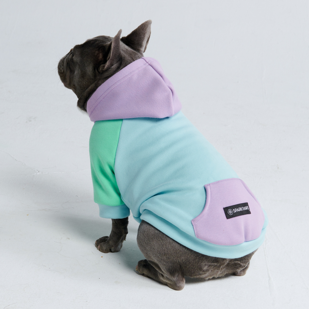 Daydream Dog Hoodie - Image 6