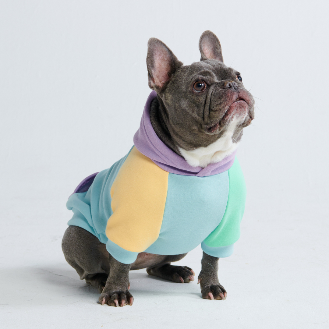 Daydream Dog Hoodie - Image 4
