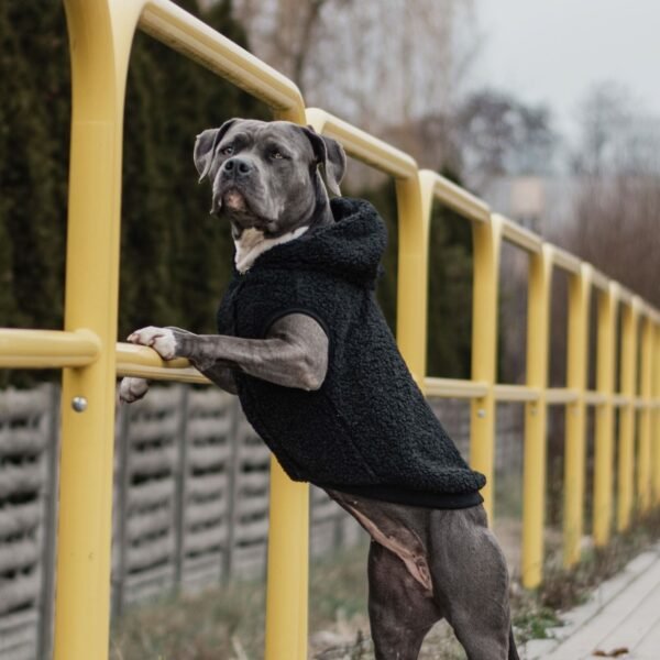 Teddy Sherpa Dog Jacket - Black - Image 6