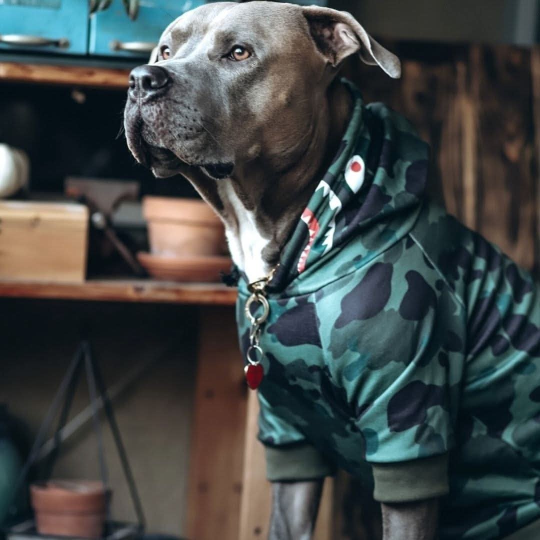 Shark Monster Dog Hoodie - Green Camo - Image 5