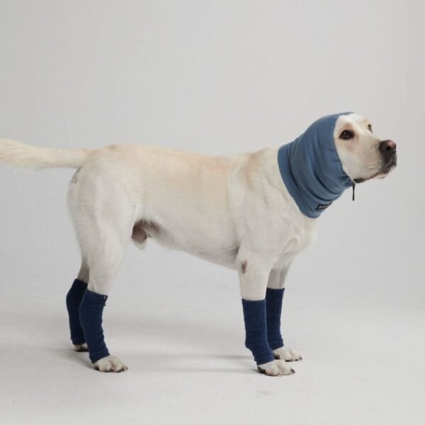 Anxiety Calming Dog Earmuff Protector - Navy - Image 4