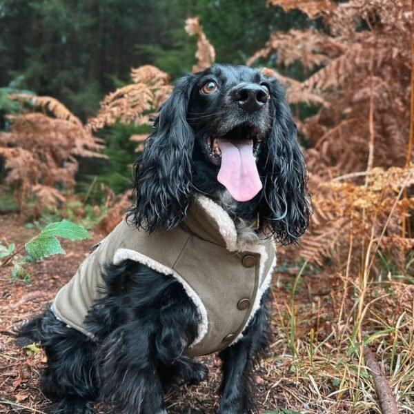 Workdog Insulated Utility Jacket - Green - Image 3