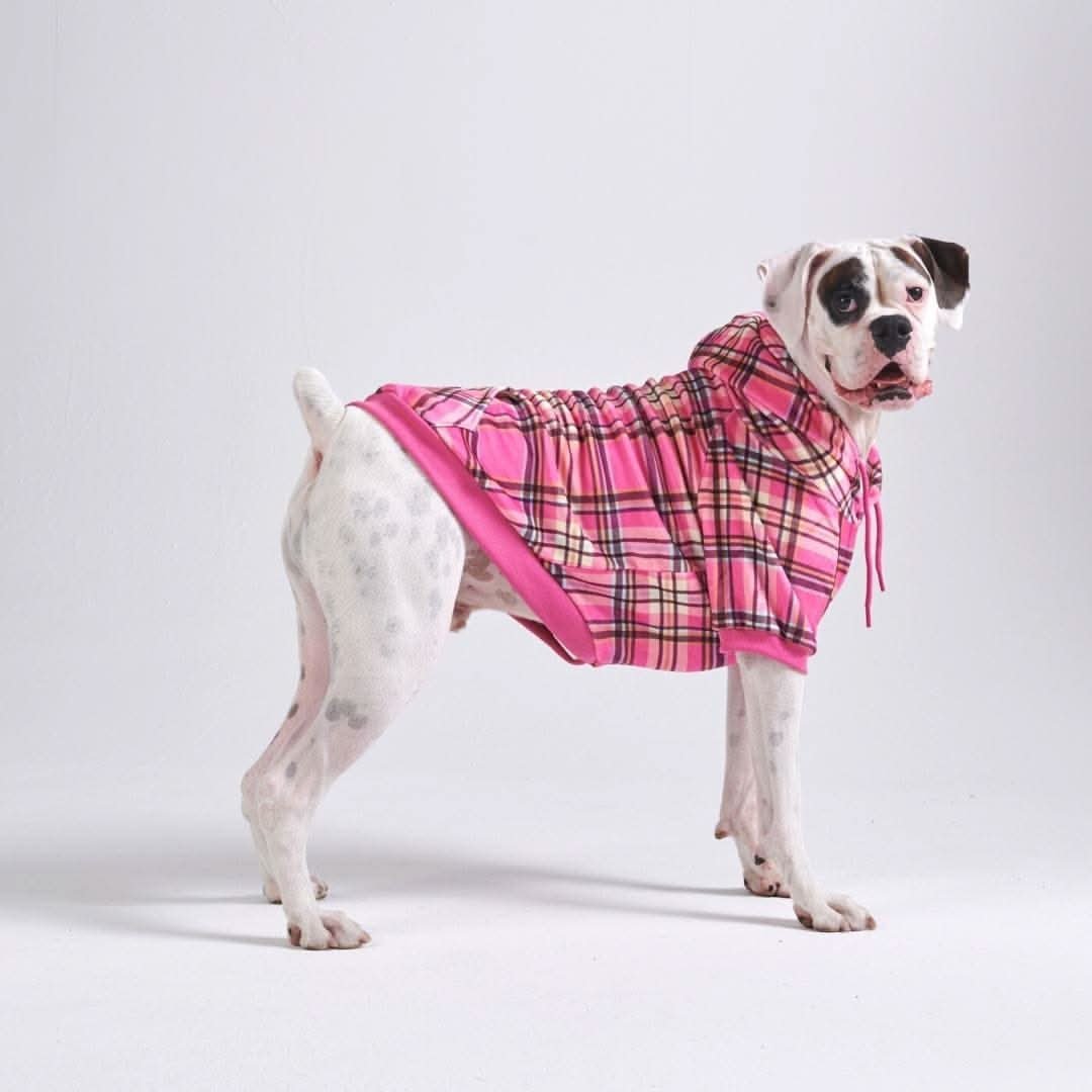 Pink Plaid Dog Hoodie - Image 3