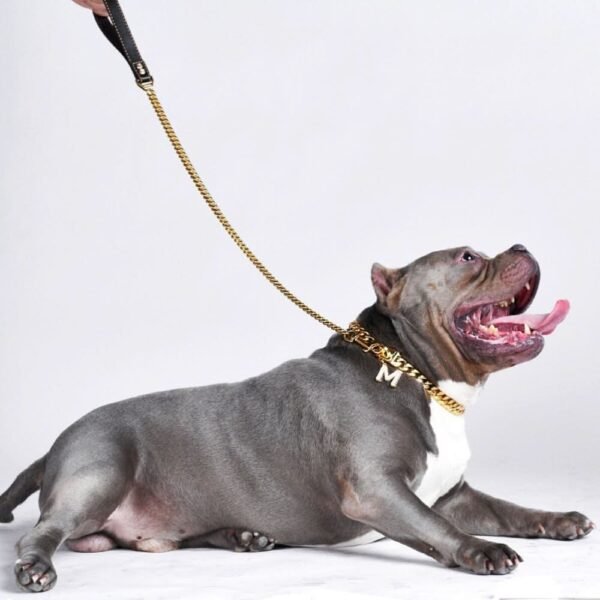 Cuban Link Gold Dog Leash - Image 2