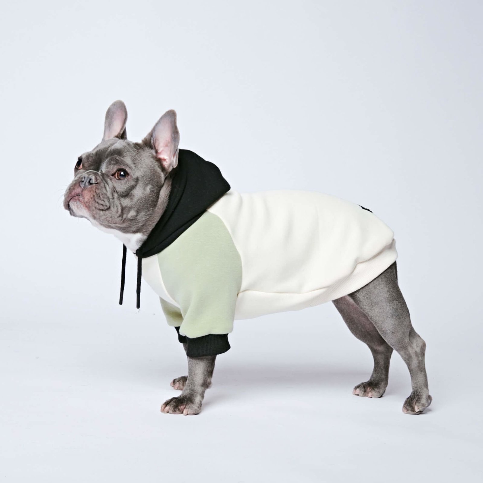 Olive Cream Dog Hoodie - Image 2